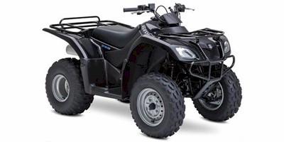 2002-2013 Suzuki LT-F250 Ozark ATV Repair Manual Download