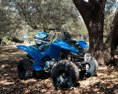 2003 Yamaha Atv YFM50S Service Repair Manual