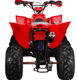 ATA-250C TaoTao Adult Utility ATV