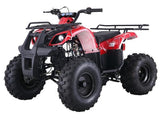 ATA135DU TaoTao Adult 110CC Utility ATV
