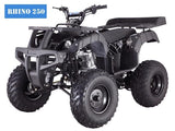 RHINO 250 TaoTao Adult 200CC Utility ATV