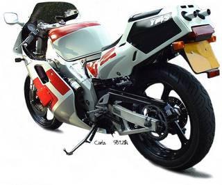 1987 Yamaha TZR250 Service Repair Workshop Manual DOWNLOAD