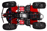 ATA-250C TaoTao Adult Utility ATV