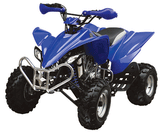 ATA-250C TaoTao Adult Utility ATV