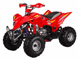 ATA-250C TaoTao Adult Utility ATV