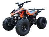 CHEETAH TaoTao Adult 110cc Utility ATV