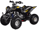 ATA-250C TaoTao Adult Utility ATV