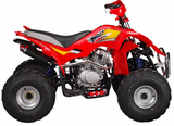 ATA-250C TaoTao Adult Utility ATV