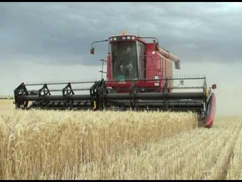 Case Ih 2144 2166 2188 2344 2366 2388 Combine Service Repair Manual 7-88436