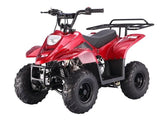 BoulderB1 TaoTao Adult 110CC Utility ATV