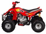 ATA-250C TaoTao Adult Utility ATV