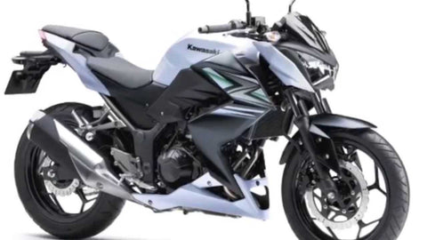 Kawasaki Z250 KZ305 1979-1982 Repair Service Manual PDF