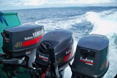 Yamaha Marine Outboard E48C (E48), E55C, 55B (C55) Service Repair Manual Download - Best Manuals
