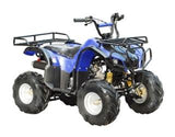 ATA-110D TaoTao Kids 110cc Utility ATV