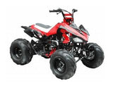ATA-125G TaoTao Kids 125cc Sport ATV