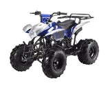 ATA-125H TaoTao Kids 125cc Sport ATV