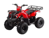 ATA-125D TaoTao Kids 125cc Utility ATV
