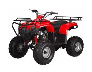 ATA-125F1 TaoTao Kids 125cc Utility ATV