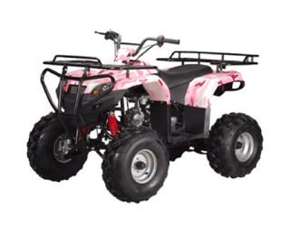 ATA-125F1 TaoTao Kids 125cc Utility ATV