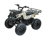 ATA-135D TaoTao Kids 125cc Utility ATV