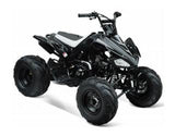 ATA-125G TaoTao Kids 125cc Sport ATV