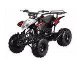 ATA-125H TaoTao Kids 125cc Sport ATV