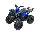 ATA-135D TaoTao Kids 125cc Utility ATV