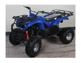 ATA-150D TaoTao Kids 150cc Utility ATV