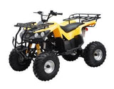 ATA-150B TaoTao Kids 150cc Utility ATV