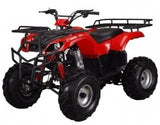 ATA-250D TaoTao Kids 200cc Utility ATV