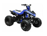 ATA-125G TaoTao Kids 125cc Sport ATV