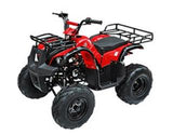 ATA-135D TaoTao Kids 125cc Utility ATV