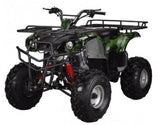 ATA-250D TaoTao Kids 200cc Utility ATV