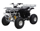 ATA-250D TaoTao Kids 200cc Utility ATV