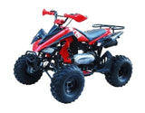 ATA-150G TaoTao Kids 150cc Sport ATV