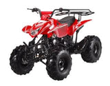 ATA-125H TaoTao Kids 125cc Sport ATV
