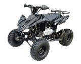 ATA-150G TaoTao Kids 150cc Sport ATV